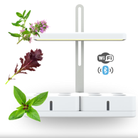 SMART GARDEN Simply Pro "Imunitet" set